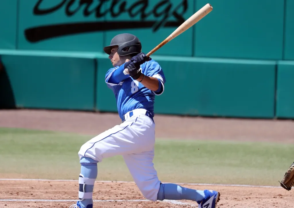Fantasy Baseball App on Smartphone